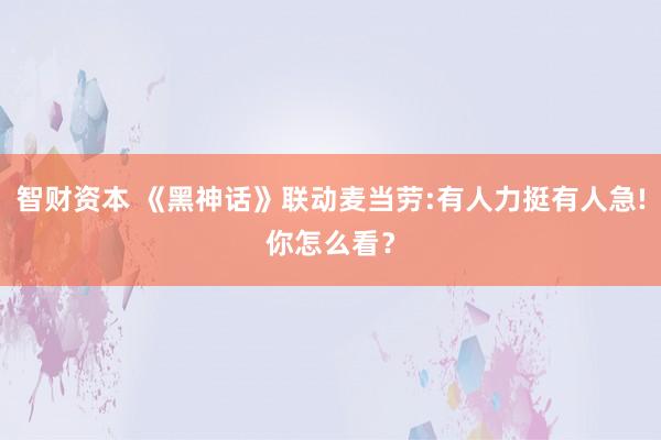 智财资本 《黑神话》联动麦当劳:有人力挺有人急!你怎么看？