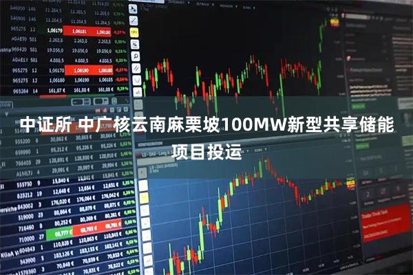 中证所 中广核云南麻栗坡100MW新型共享储能项目投运